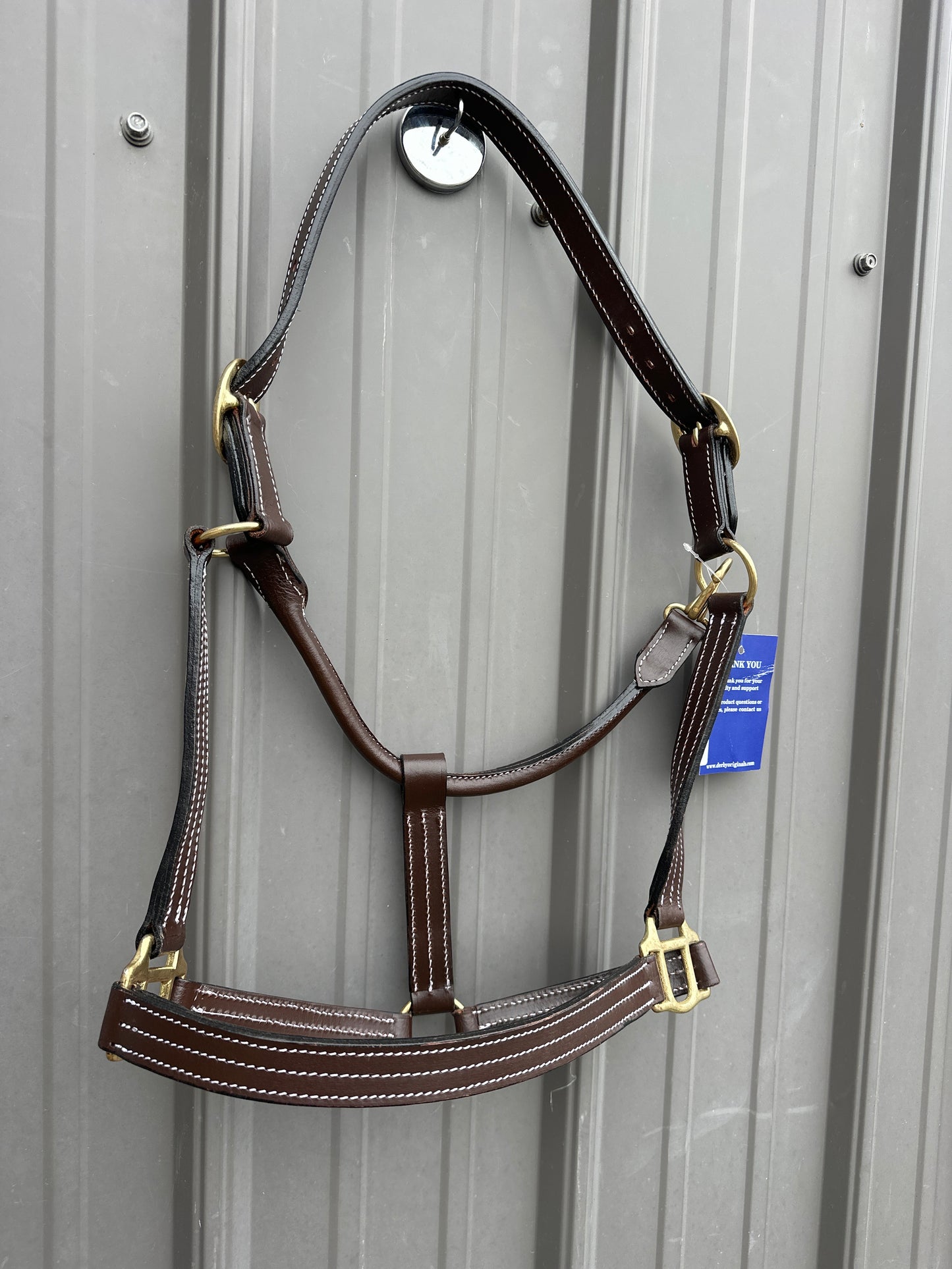 Derby Halter